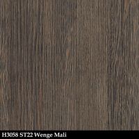 H3058st22sk