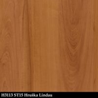 H3113st15sk