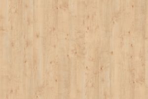 R35003 R5822 Masuren Birch sand