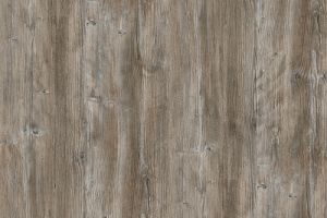 R55004 RU Ponderosa Pine