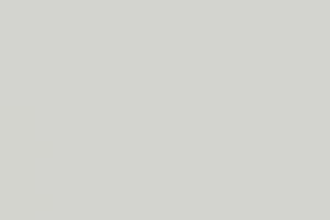 U12131 U1131 Silver Grey